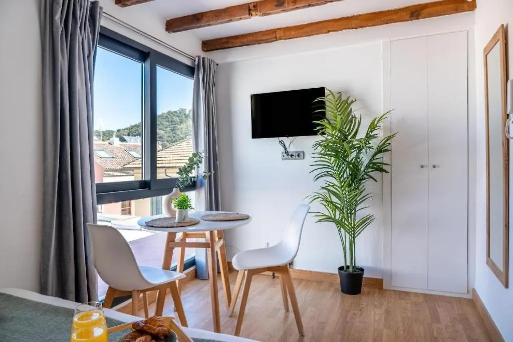 Stylish Flat In Malaga Historic Center Apartment 0*,  Spain